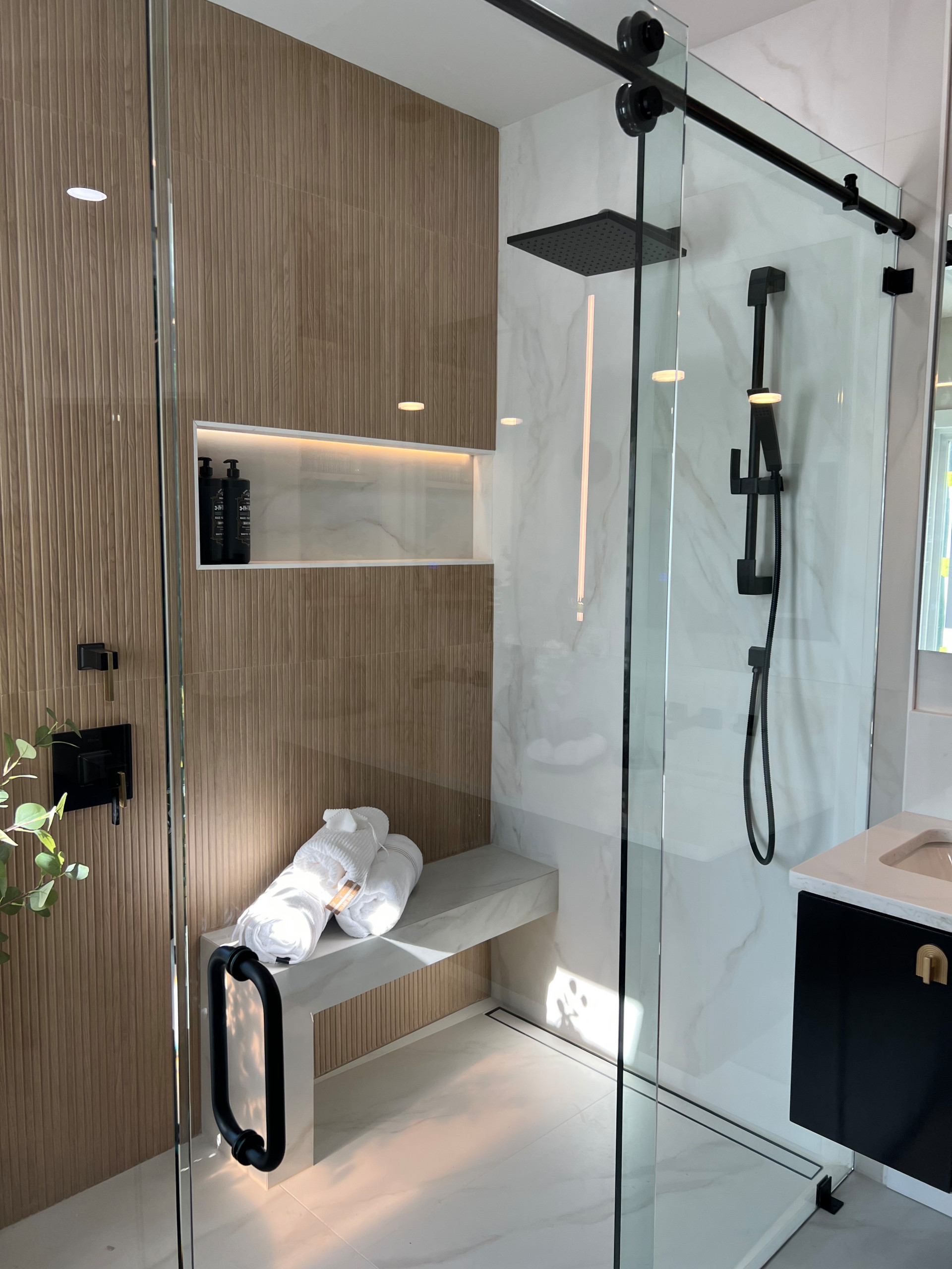 Mster bathroom remodeling Design project