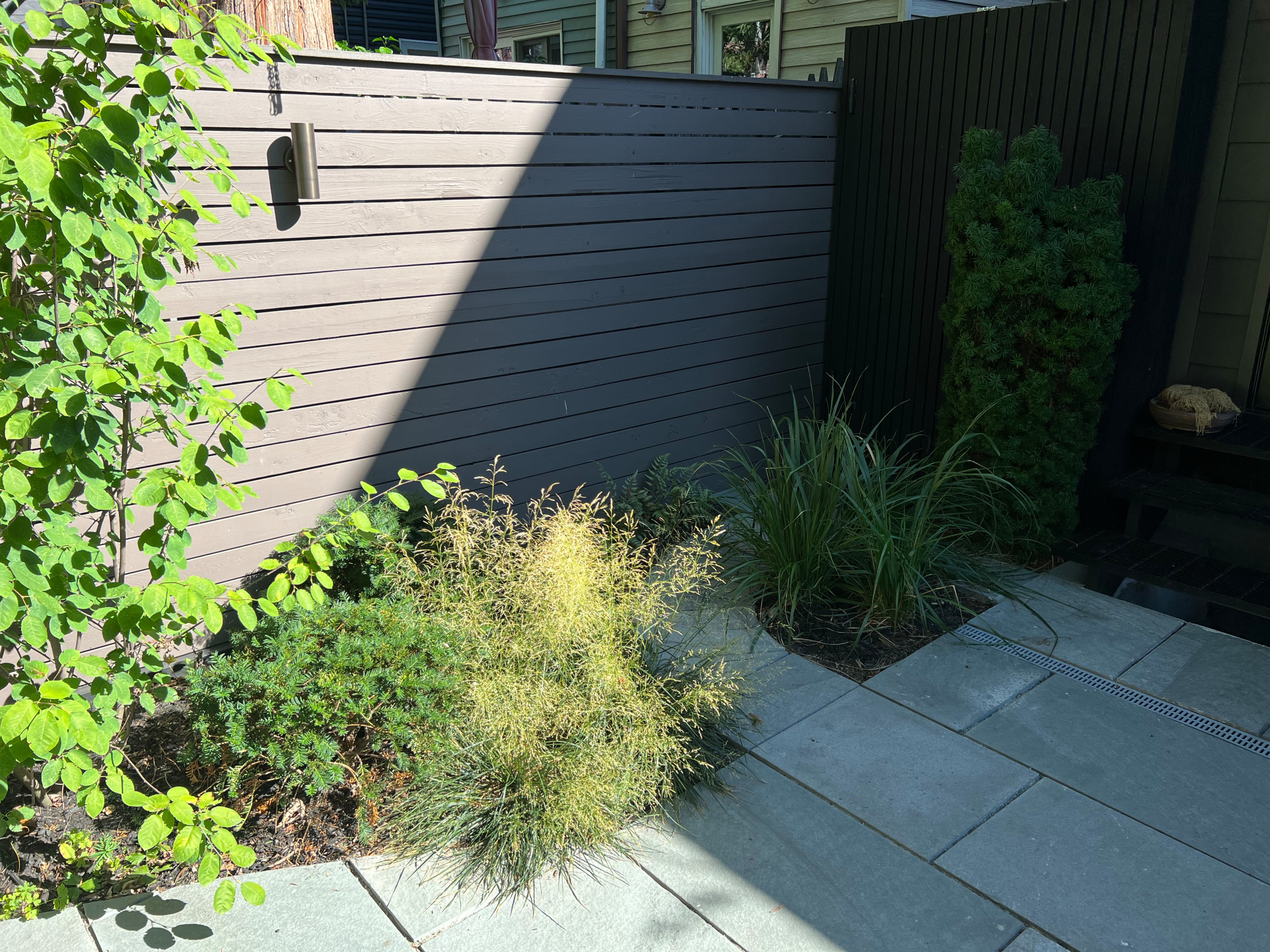 Shady Garden Deck and Pergola Renovation