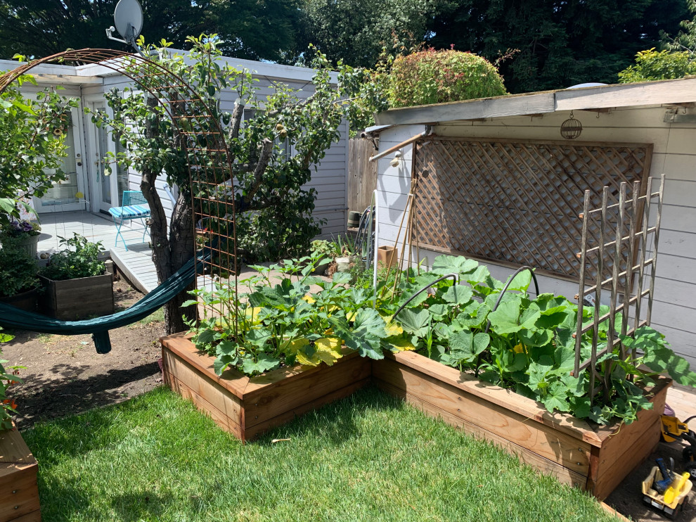 Immagine di un piccolo giardino xeriscape american style esposto in pieno sole dietro casa in estate con un giardino in vaso, pacciame e recinzione in metallo