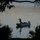 john_cleary29