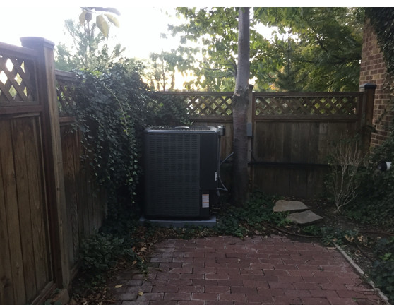 Side Yard Before