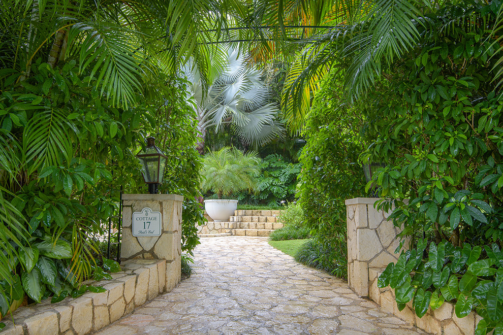 Tropical garden in Miami.
