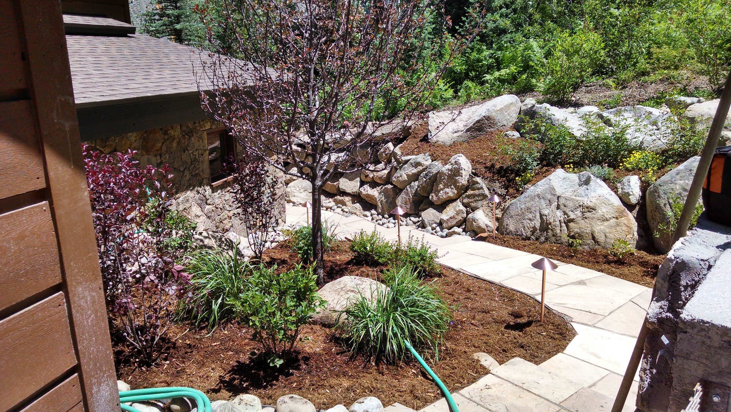 Short path to patio