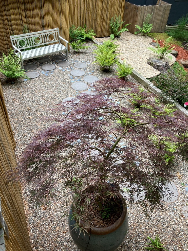 Immagine di un piccolo giardino xeriscape contemporaneo esposto a mezz'ombra e stretto nel cortile laterale in estate con ghiaia