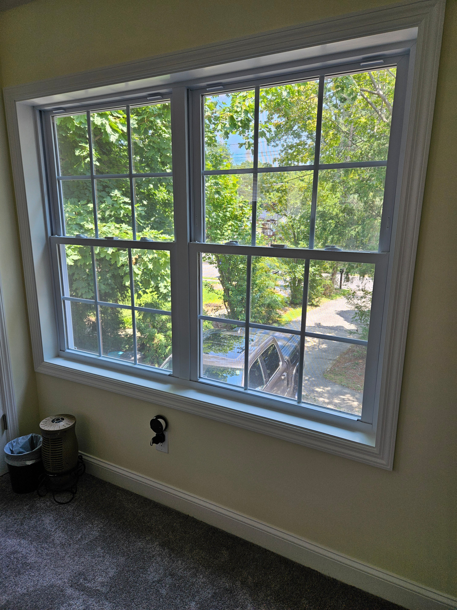 Windows & Doors