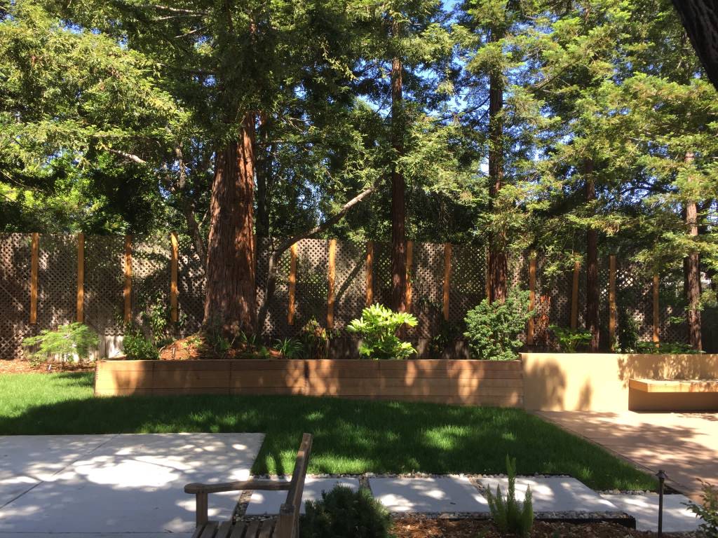Monte Sereno Residence