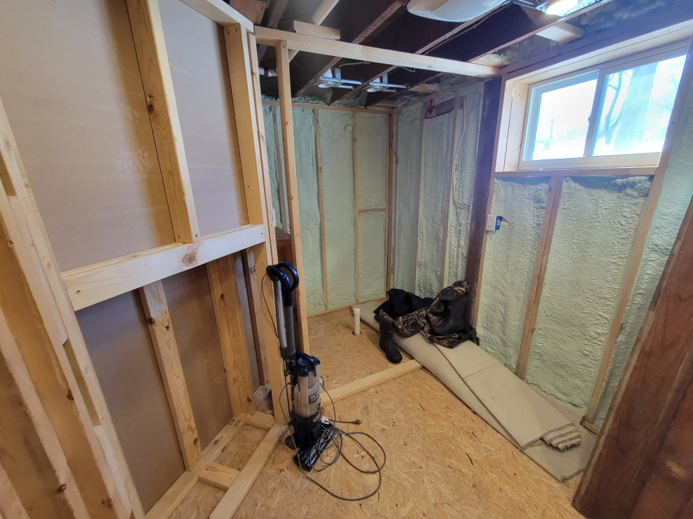 Basement Bathroom