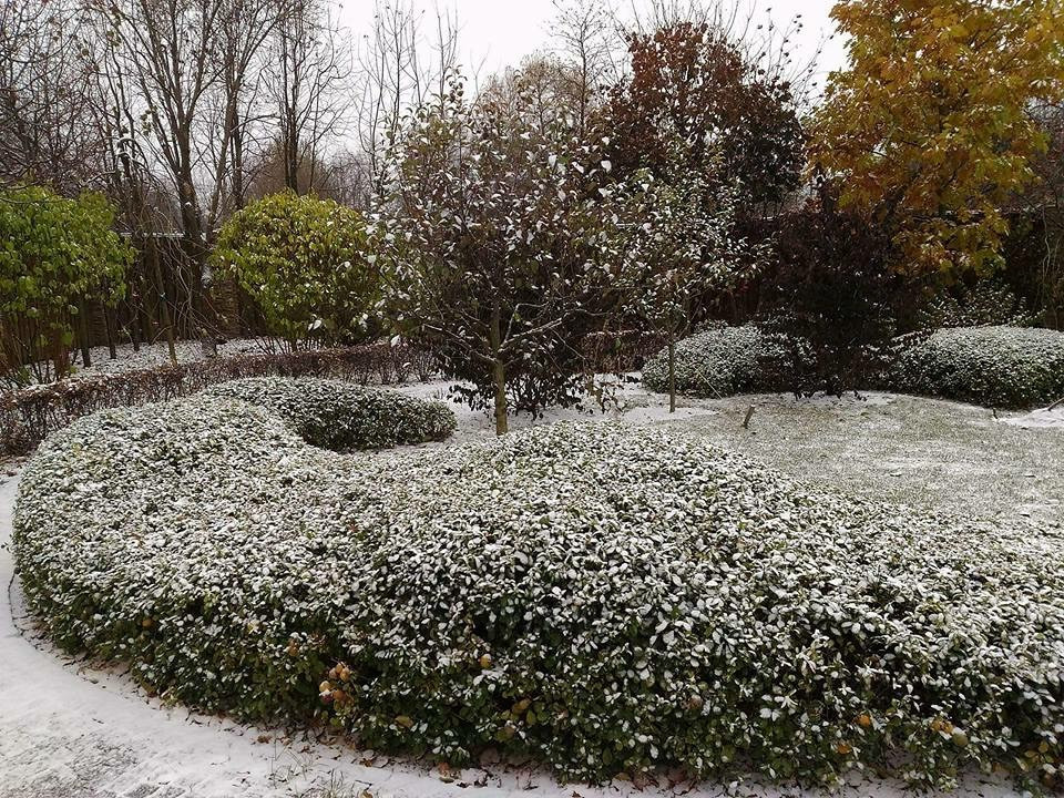 Сенькино московская обл