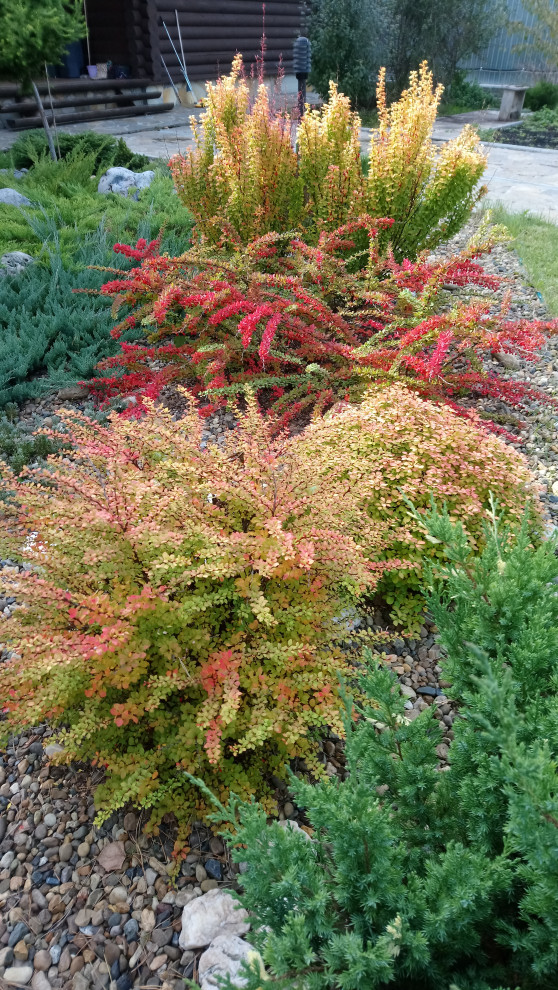 Идеи для современного сада.