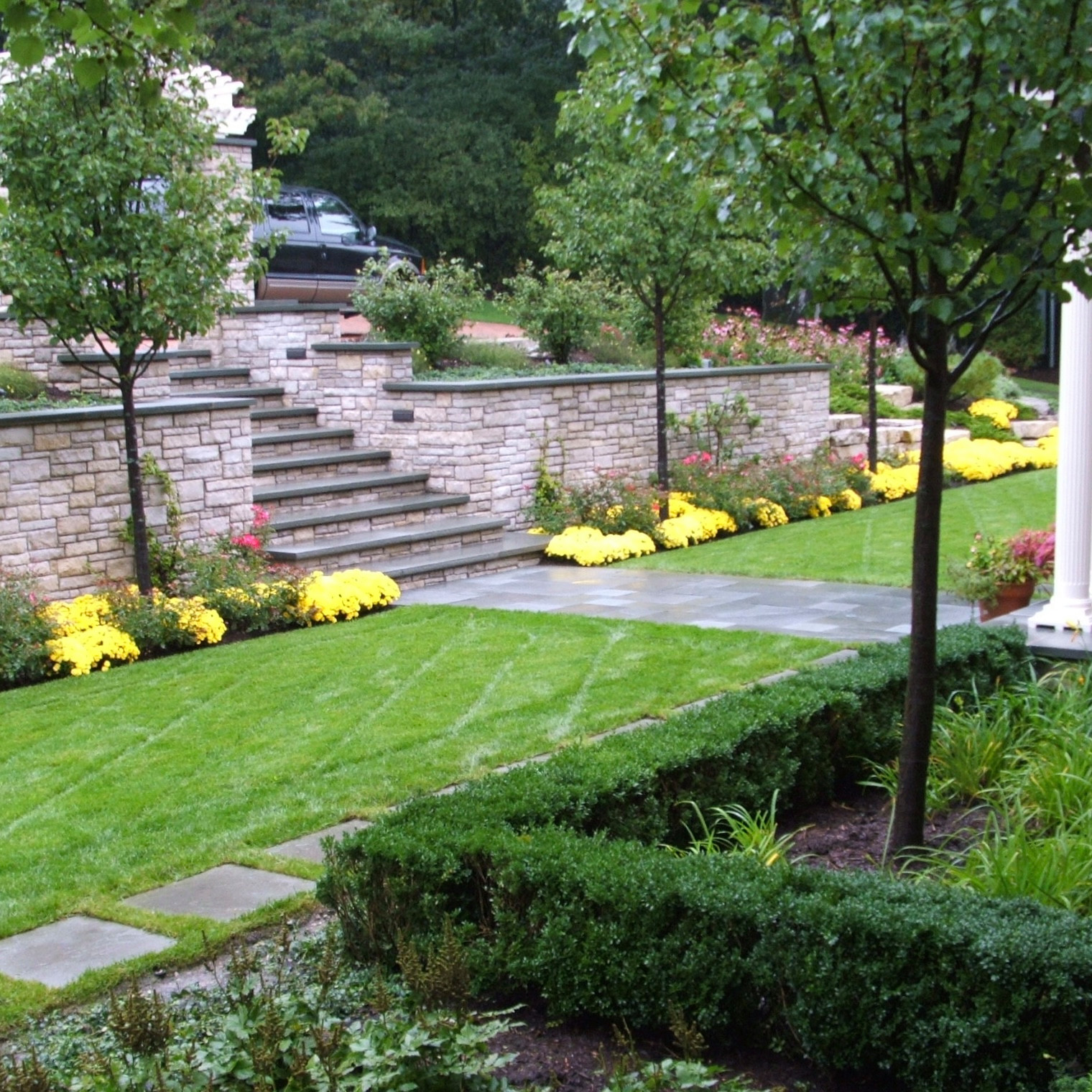 lawn