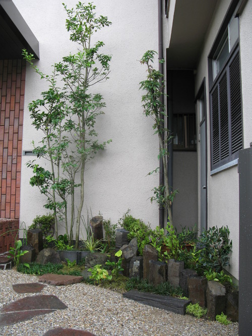 狭い庭も緑豊かな空間に おすすめの植物と庭づくりのポイント Houzz ハウズ