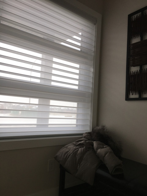 Shadeomatic Shadow Magic Shade's transitional
