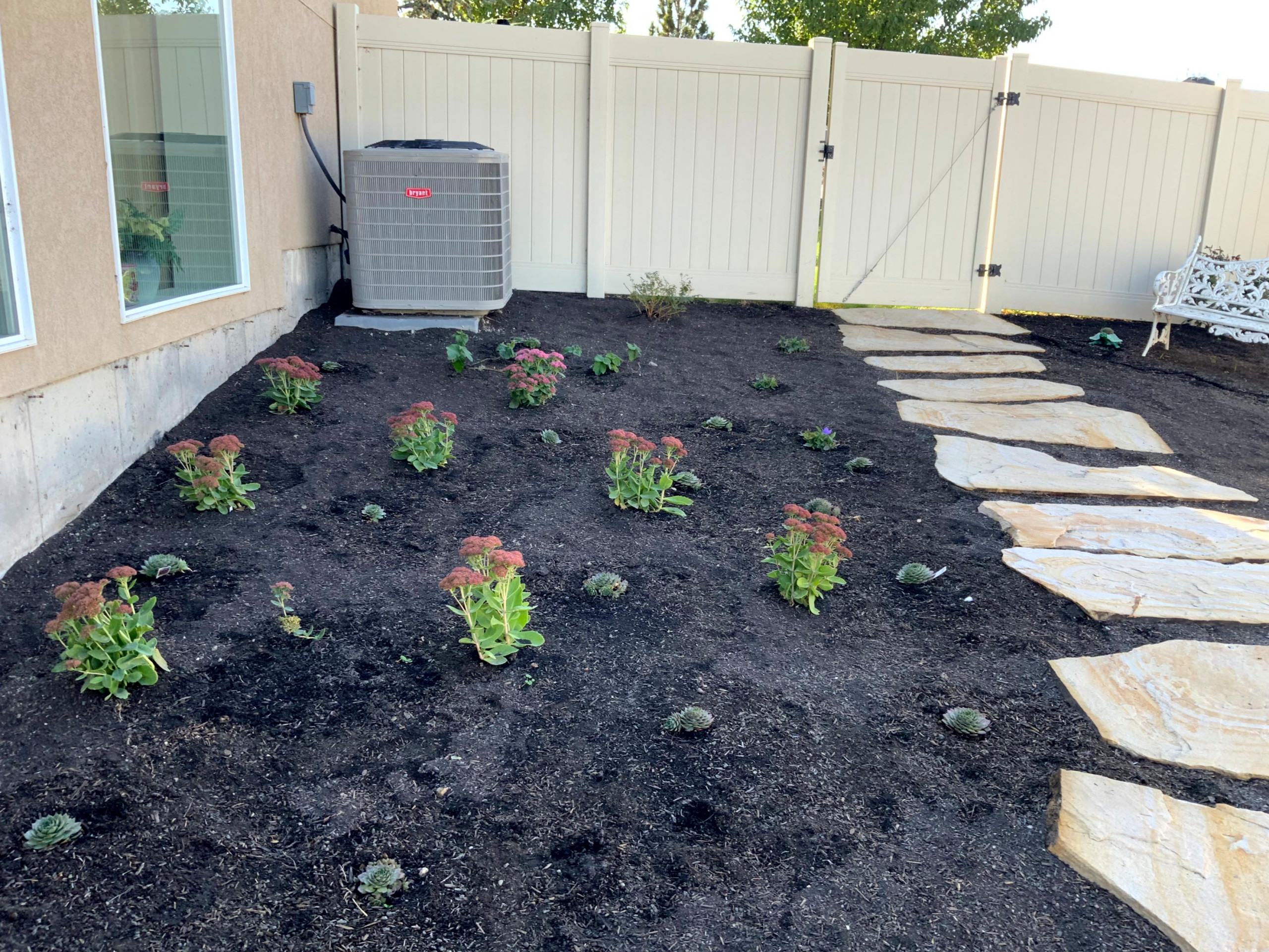 Low Maintenance English Garden
