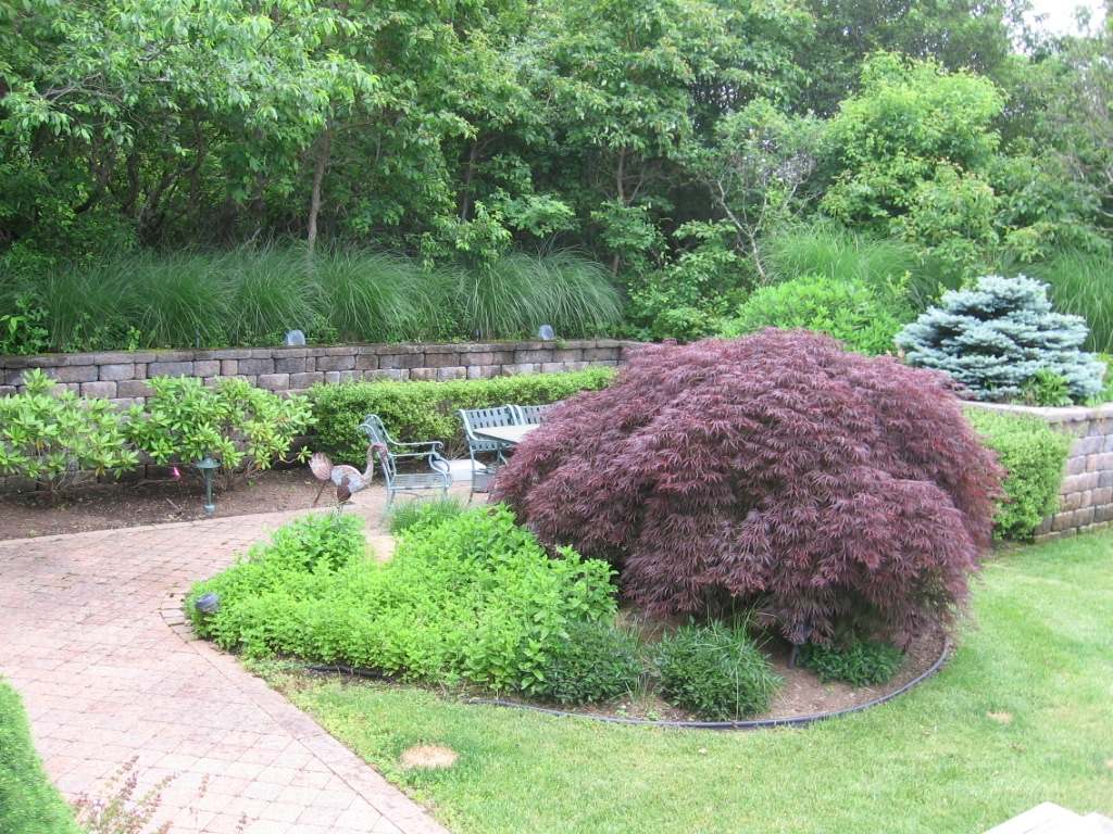 Landscape Walkways, Pergolas, Perennial Gardens, Shrubs & Trees