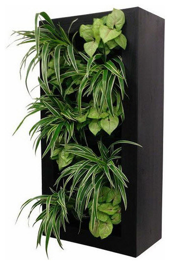 GSky Retail Living Wall Planter & Vertical Gardens