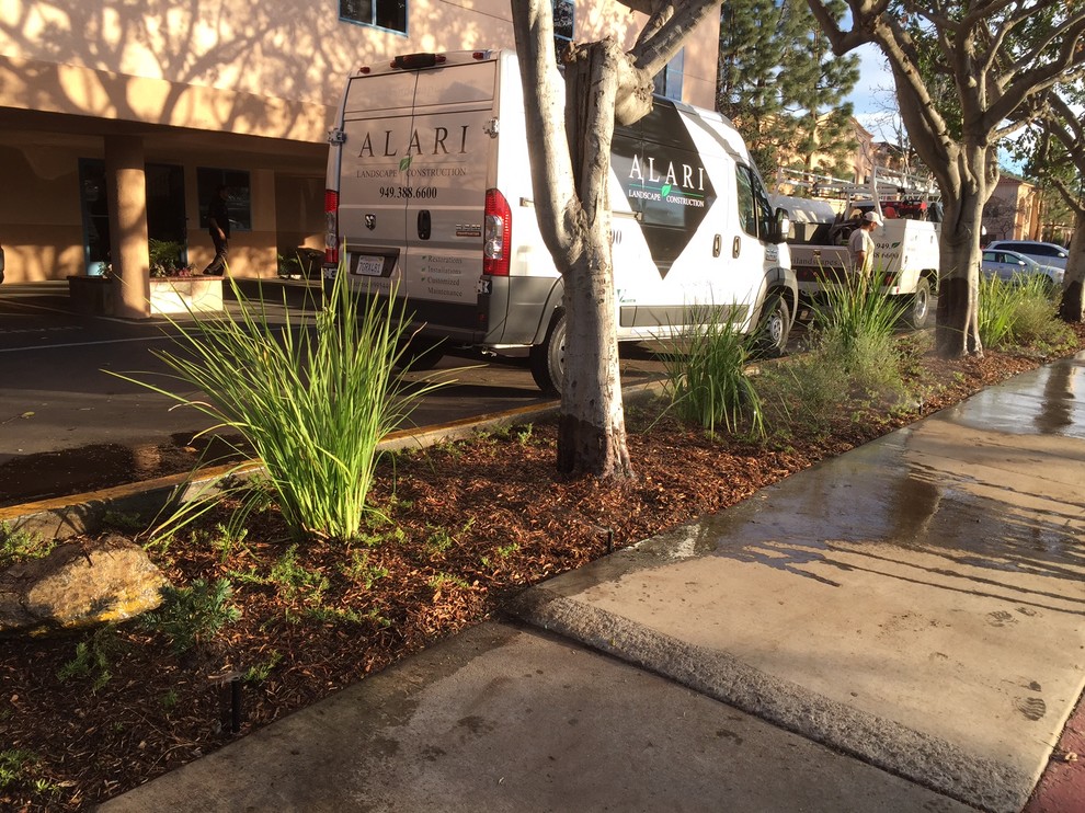 Business Park landscape restoration