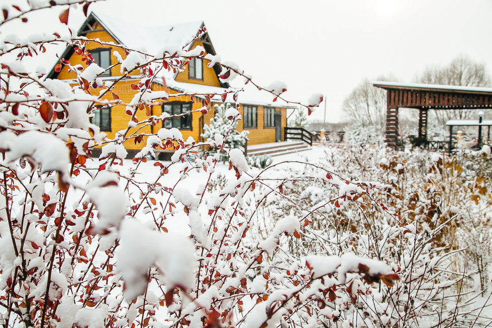 Зимний сад. Ощущение праздника!