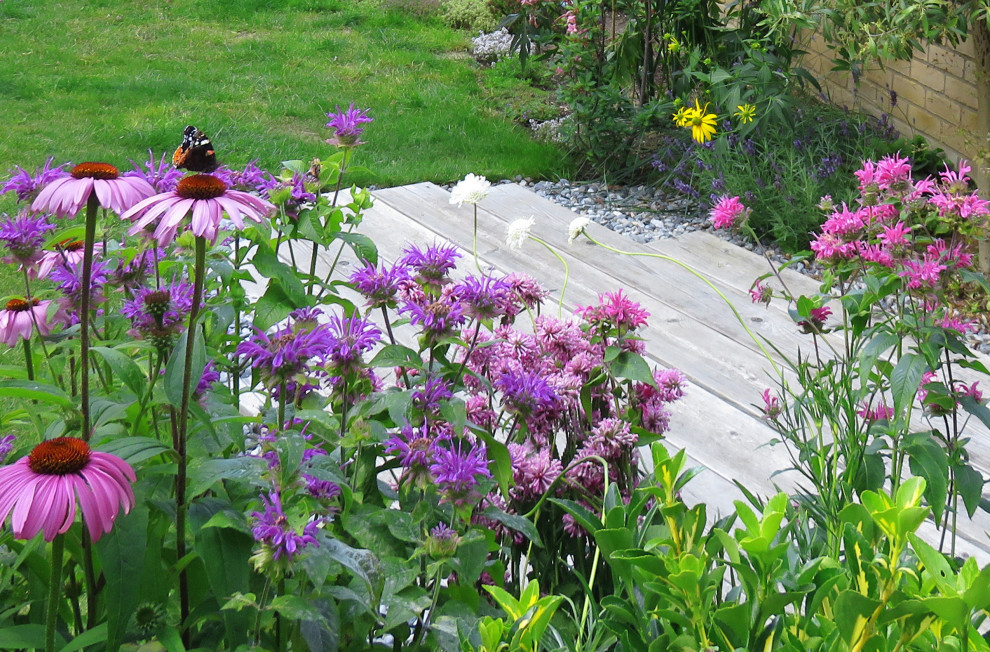 Town House Garden, Essex