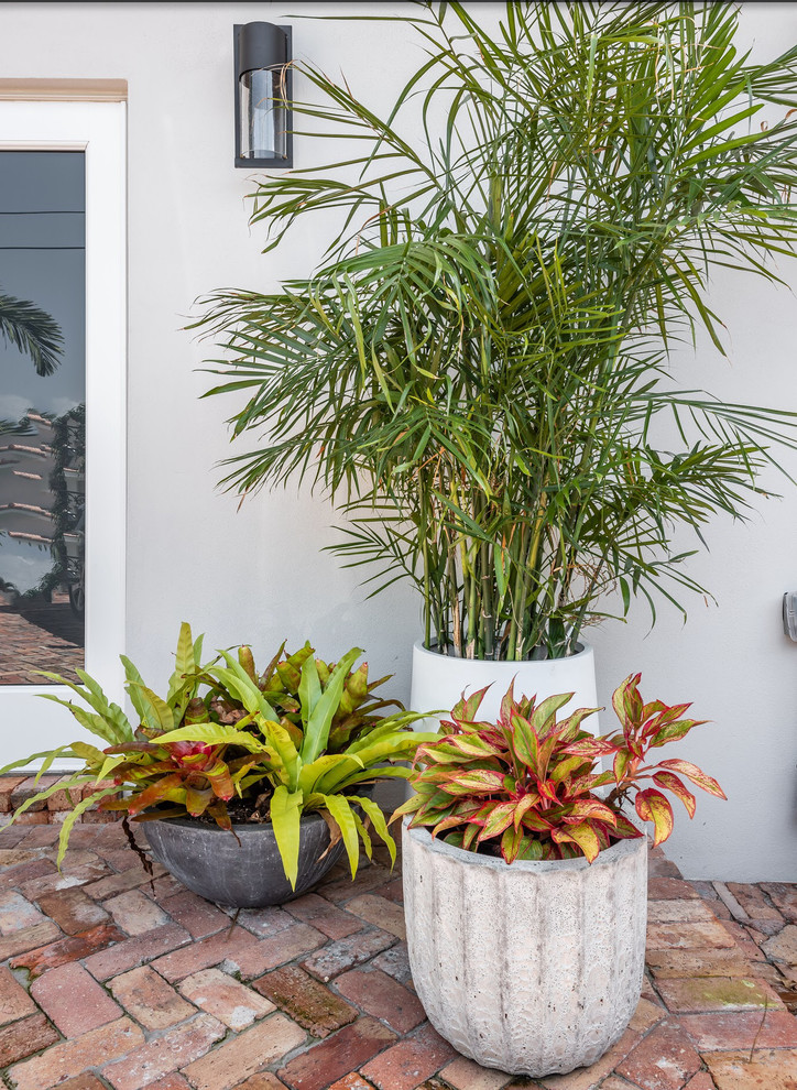 Miami renovation