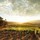 leeann_cameronreuter