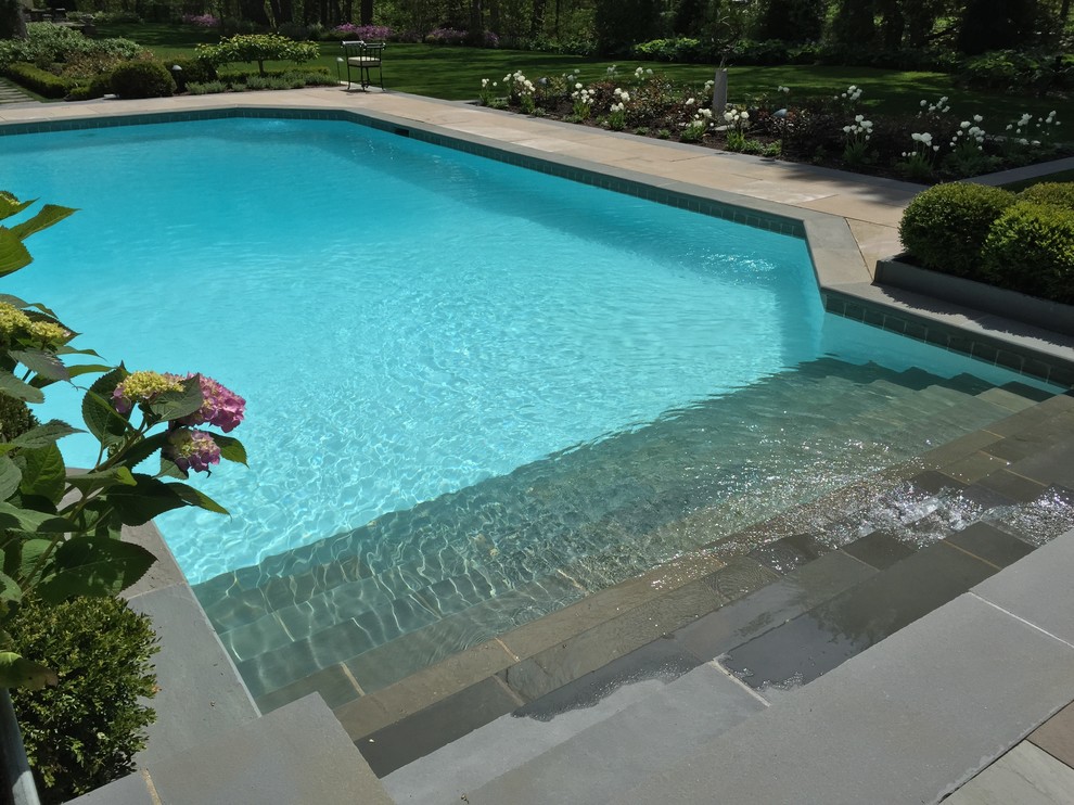 Mid-sized transitional backyard rectangular pool photo in Chicago