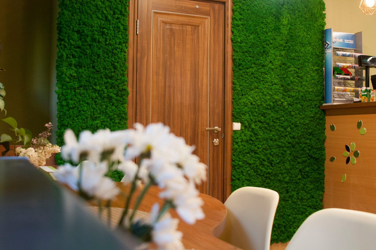 Панно из мха ягель для кафетерия