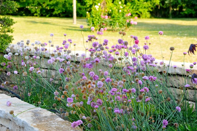 Un am&eacute;nagement de piscine &agrave; Asni&egrave;res en Poitou landhausstil-garten