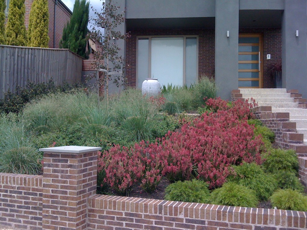 Photo of an australian native contemporary garden in Melbourne.