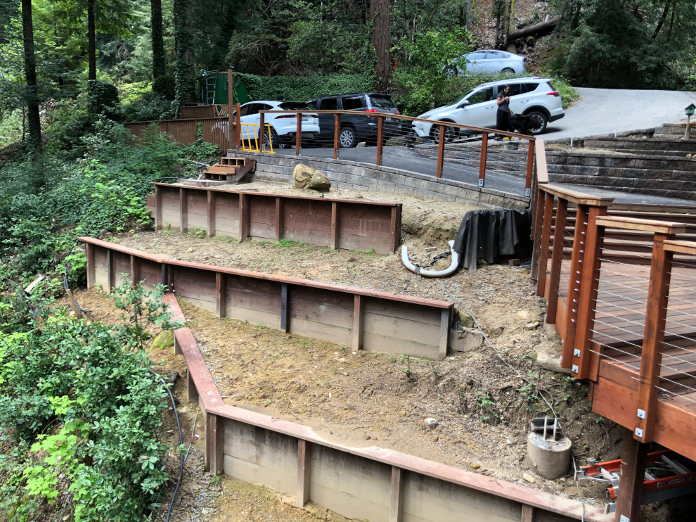 Los Gatos Mountains 4