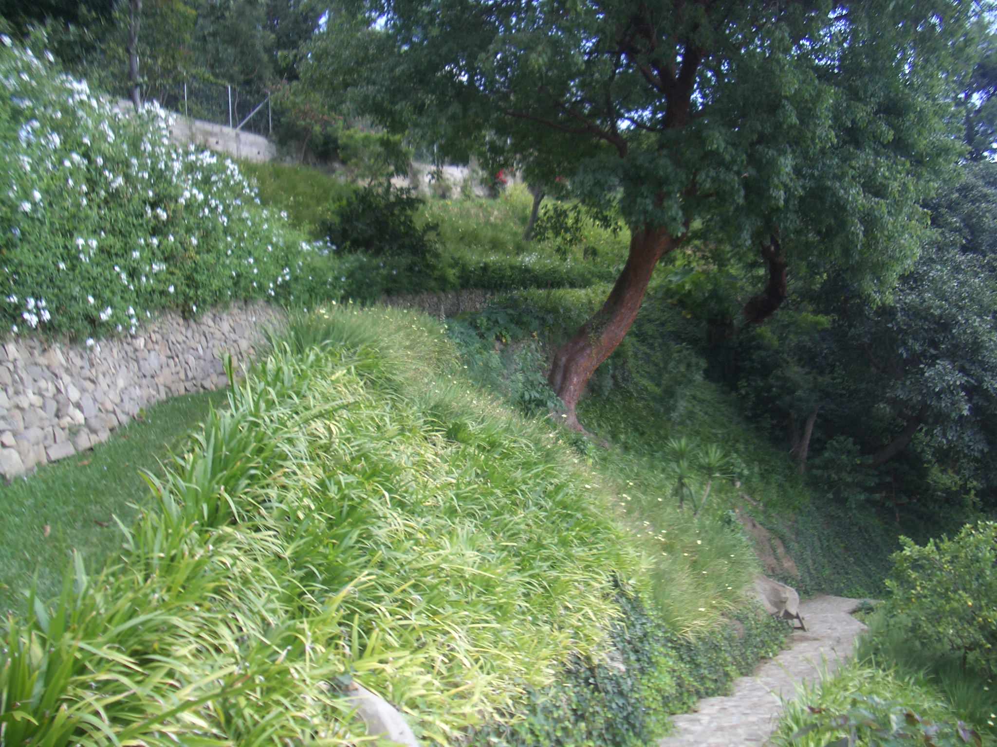 Retaining Wall Planter