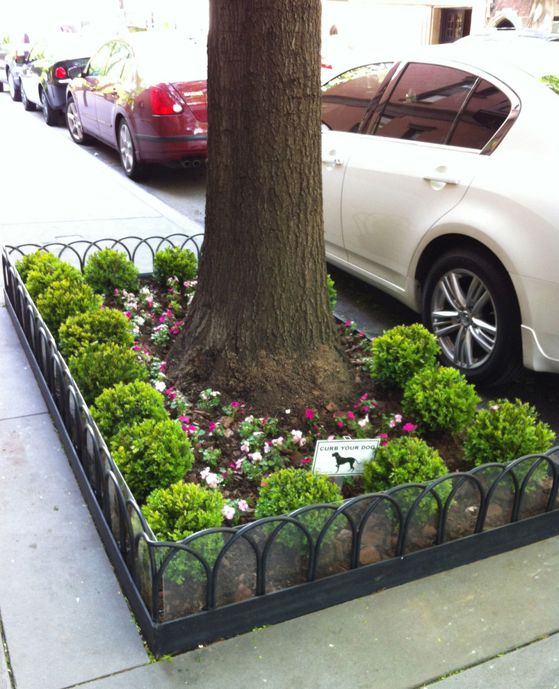 Design ideas for a contemporary shade front yard landscaping in New York for spring.