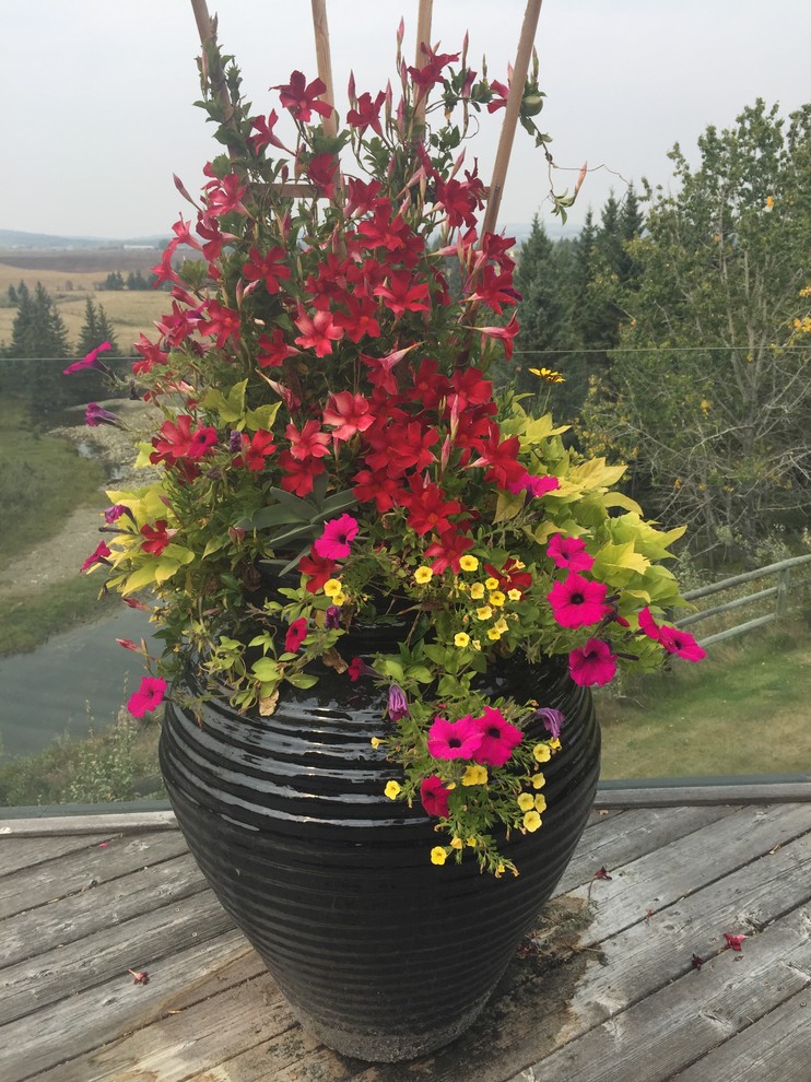 Vintage garden design Calgary by Vintage Garden Design Houzz