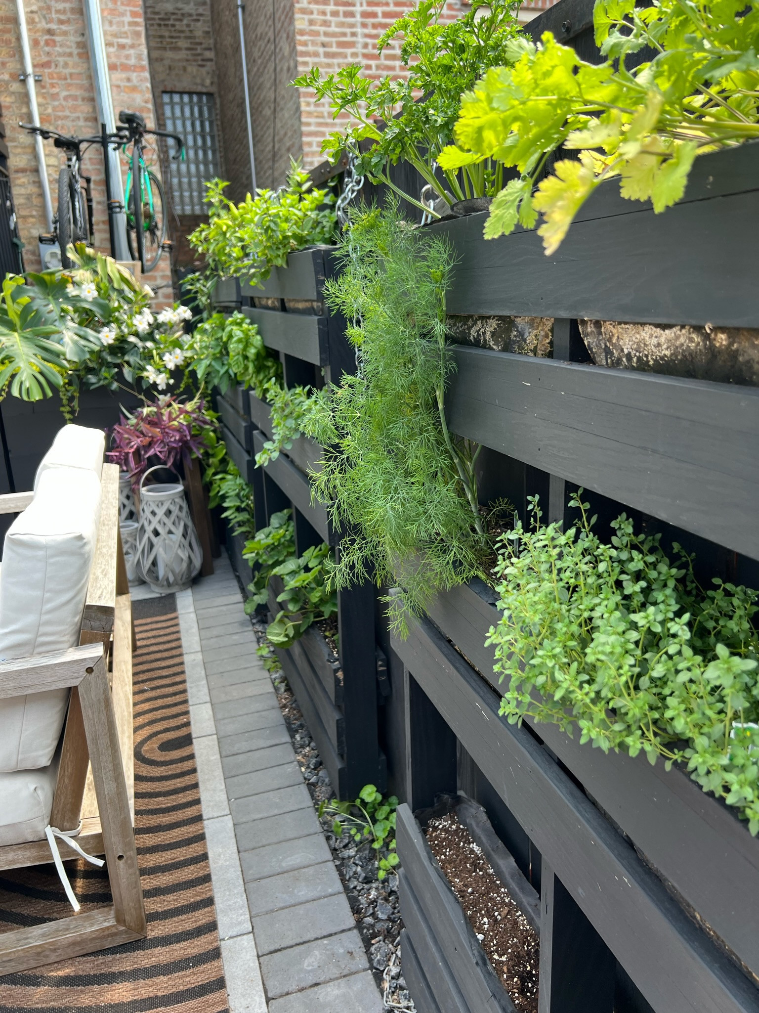Bronzeville//Hydepark patio