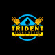 Trident Plumbing Inc