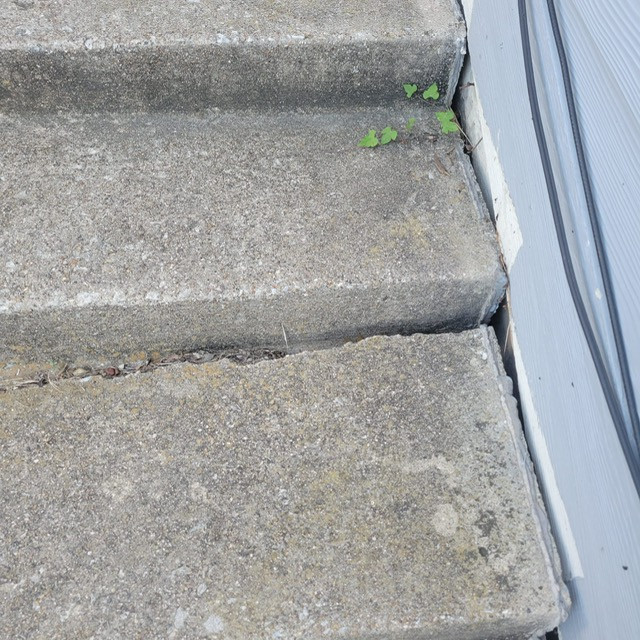 Paving Repairs