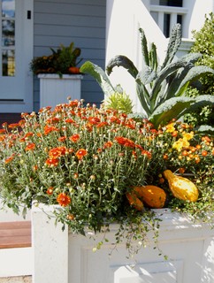 8 Ideas to Give Your Yard a Boost for Fall (9 photos)