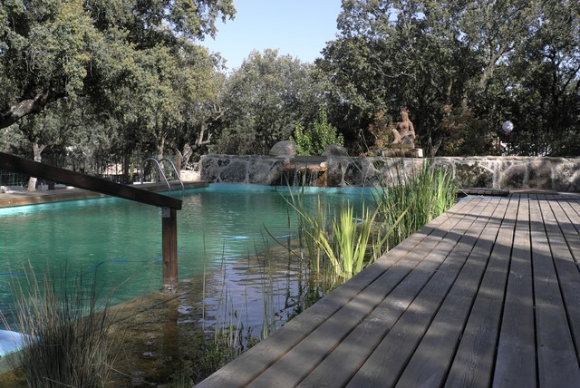 Dise&ntilde;os Realizados contemporary-pool
