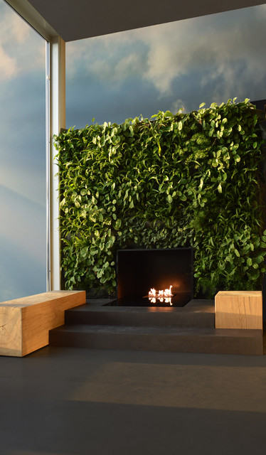 Ninfea contemporary