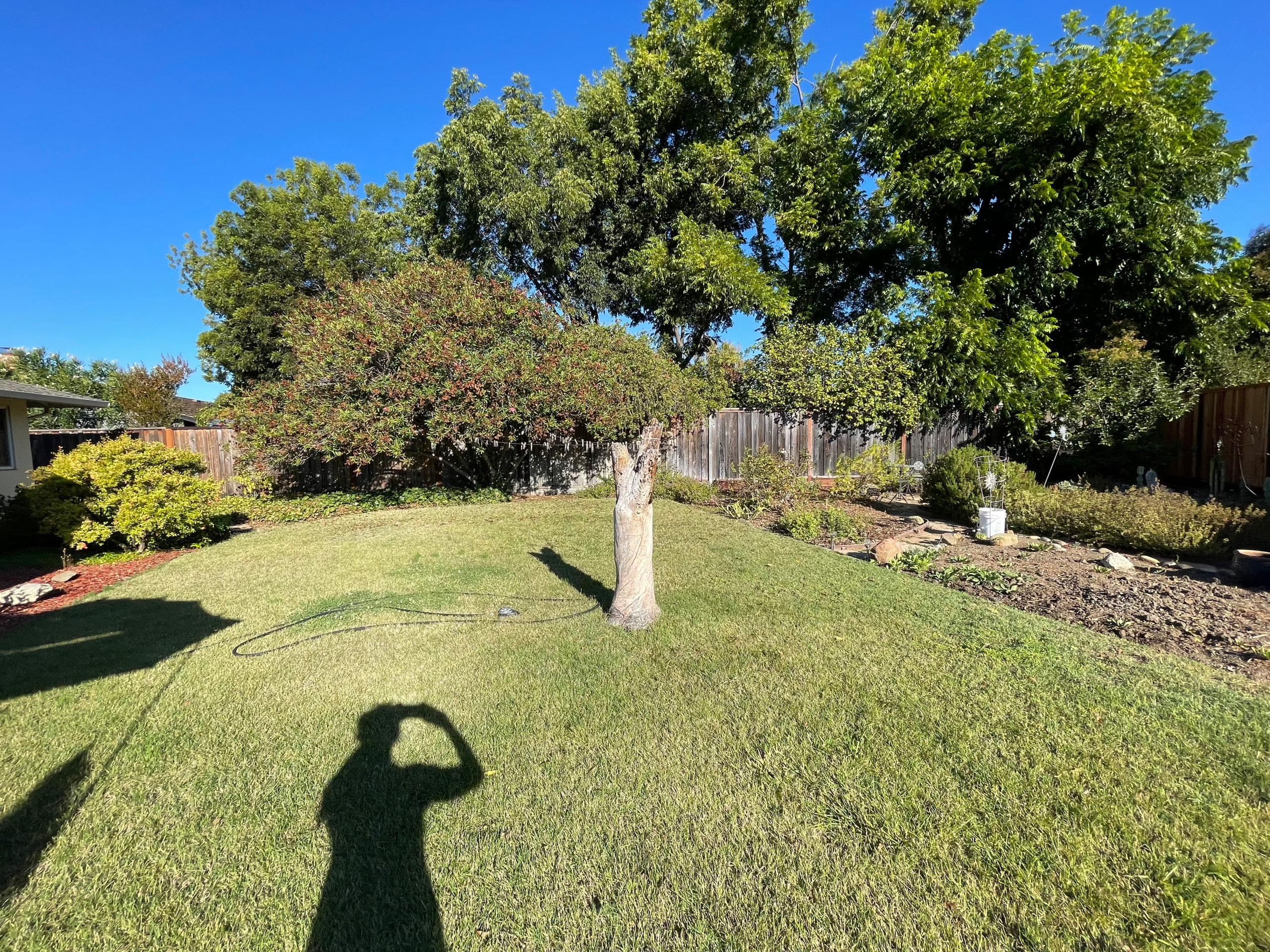 Sunny Fremont oasis