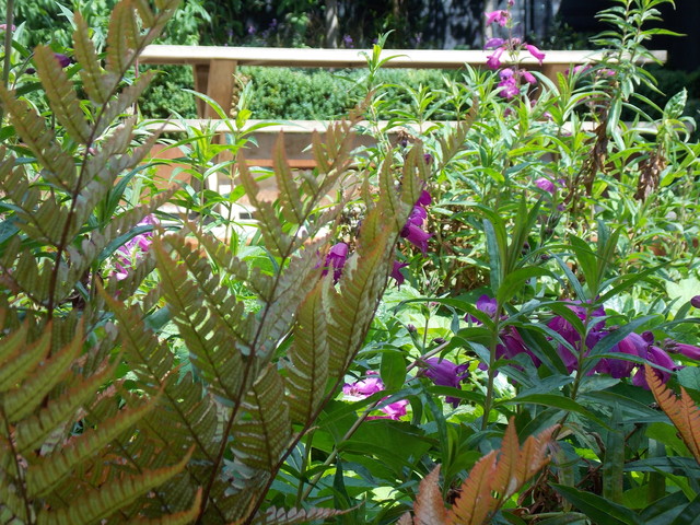 Muscle Hill garden country-garden