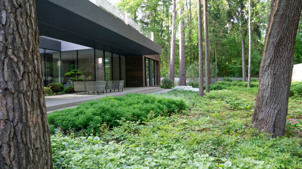 В гармонии с лесом. Модернистский сад. КП Новоуспенский 2020 г