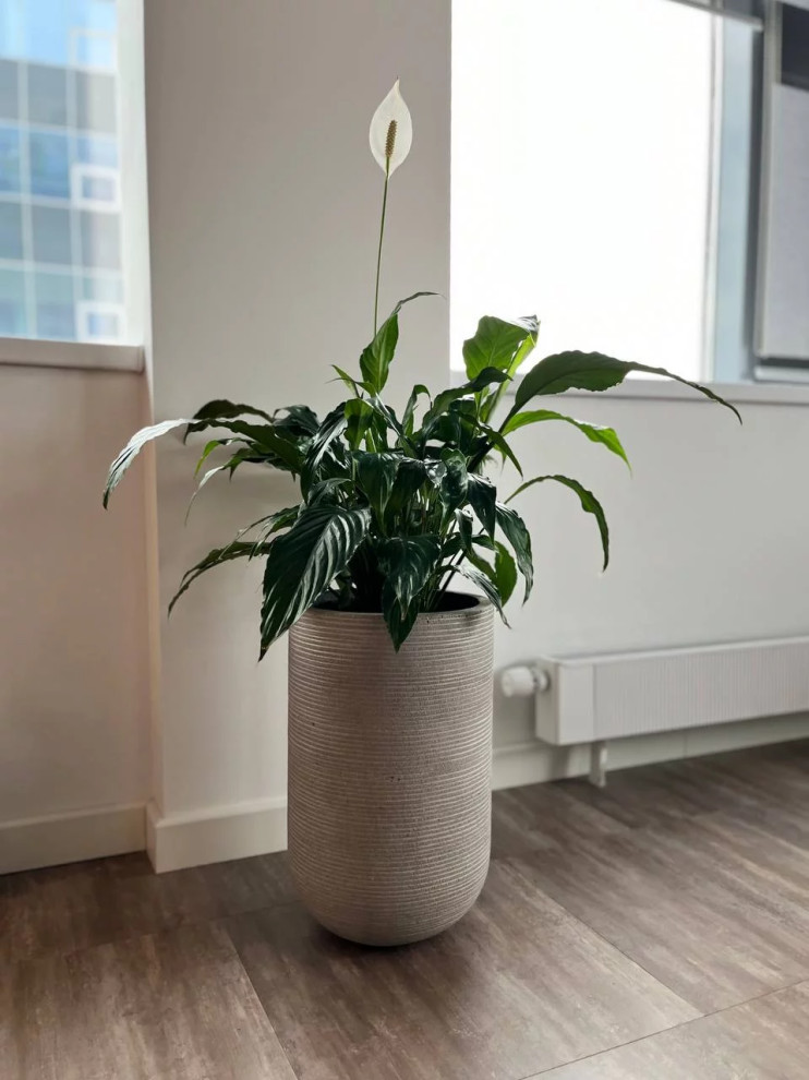 Офис Технодинамика г. Москва