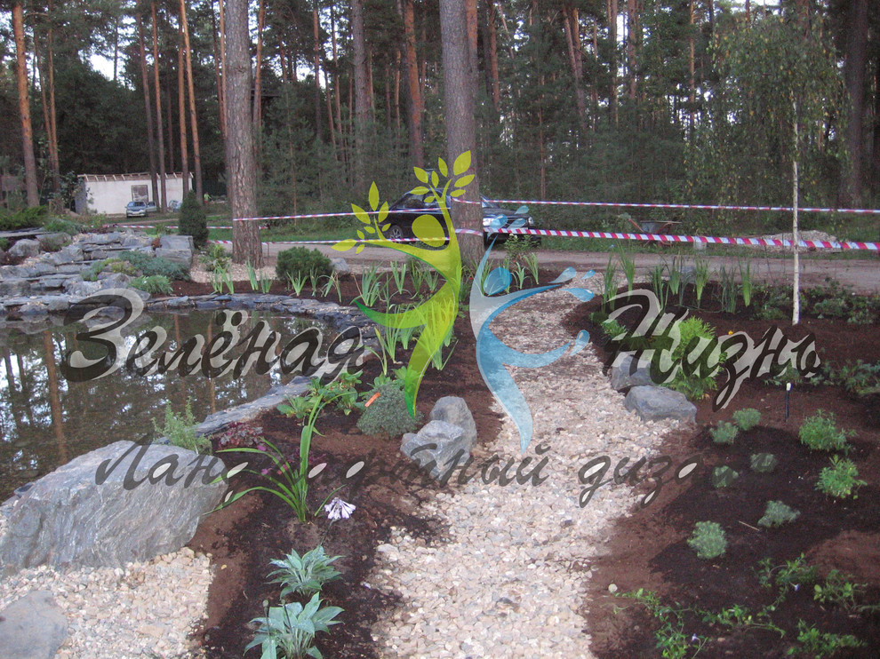 Владимирская область, д. Колокша