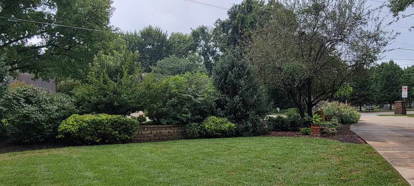 Burwell Street Buffer