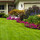 Synthetic Turf And Services LLC
