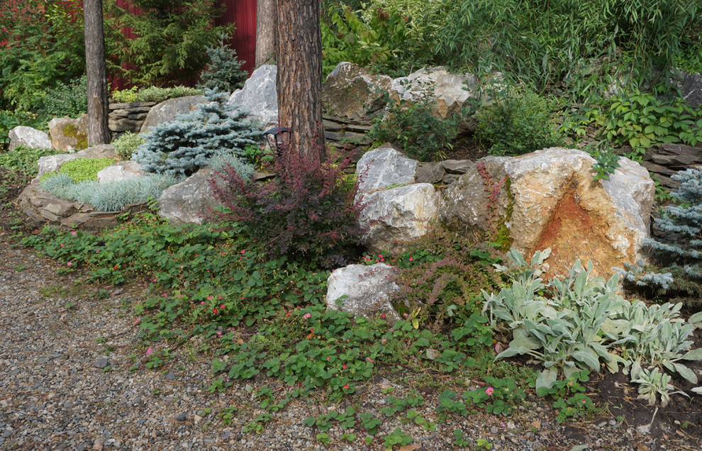 Лесной пейзаж