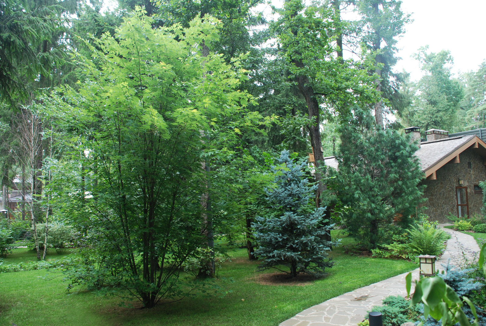 Лесной участок в КП "РИИТА"