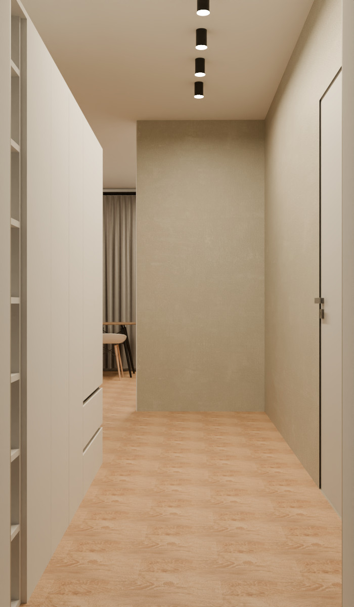 Визуализация трех типовых квартир под сдачу в аренду