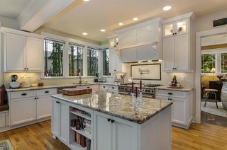 Kitchen Design / Remodel craftsman-kitchen