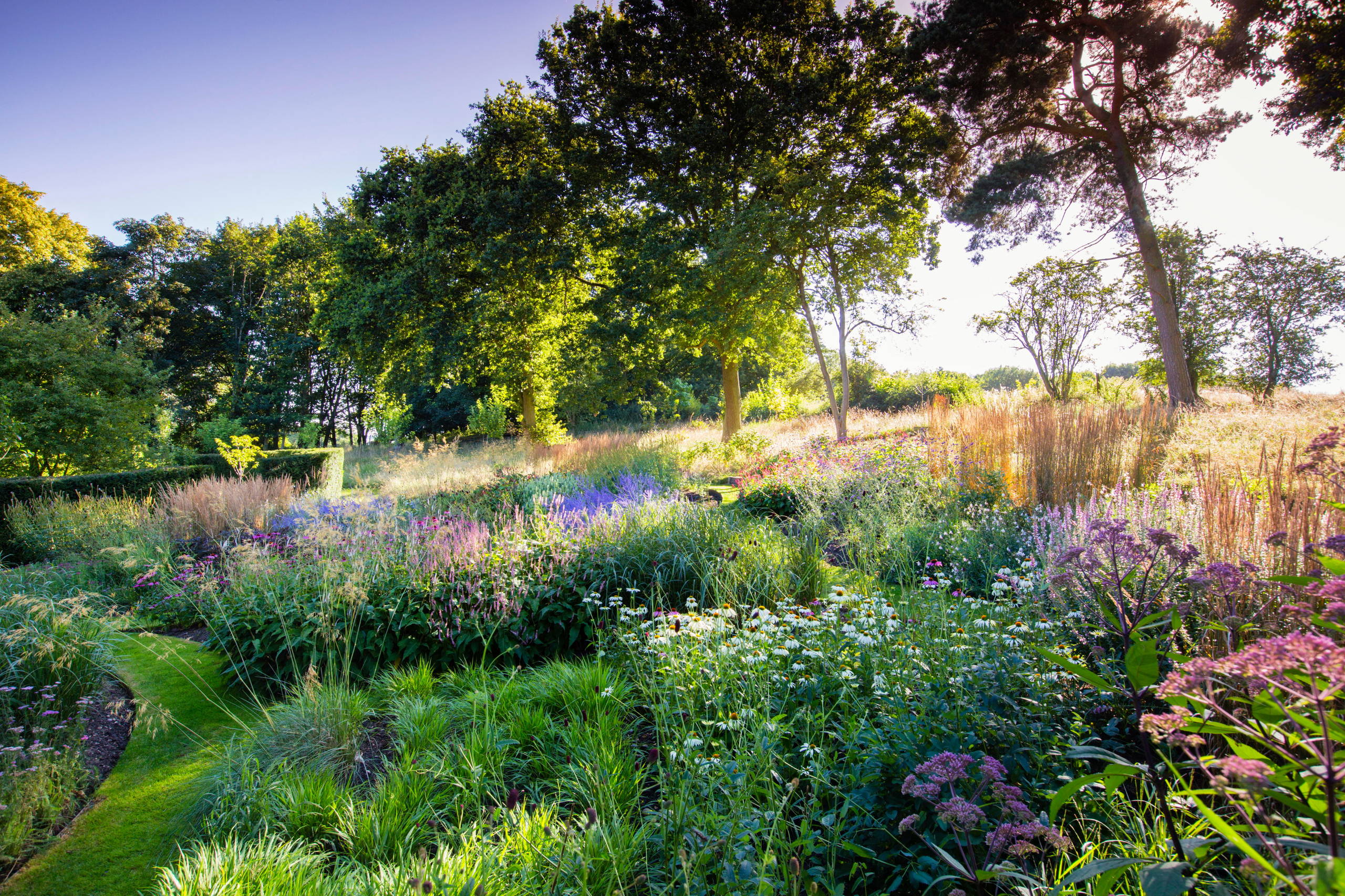 Got Allergies? 9 Plants to Avoid and What to Grow Instead